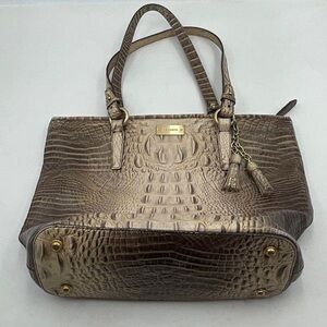 Perfect condition Brahmin crocodile